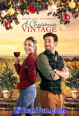 A Christmas Vintage封面图