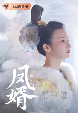 凤婿封面图