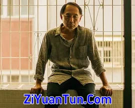 第13天封面图