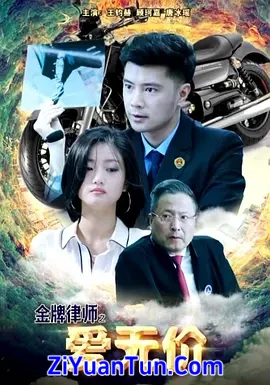 金牌律师之爱无价封面图