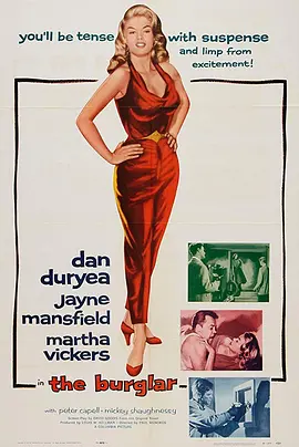 义盗娇娃封面图