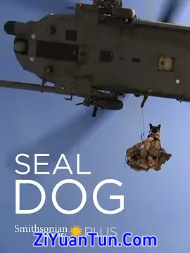 海豹突击犬封面图