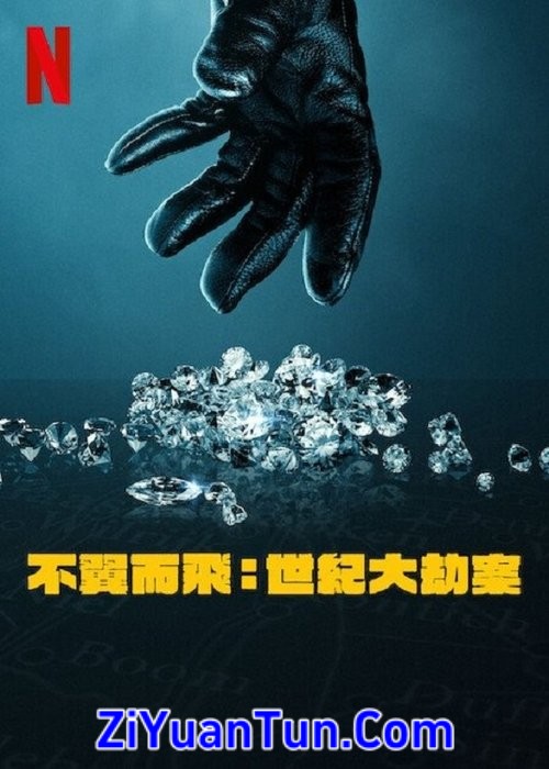 不翼而飞：世纪大劫案封面图