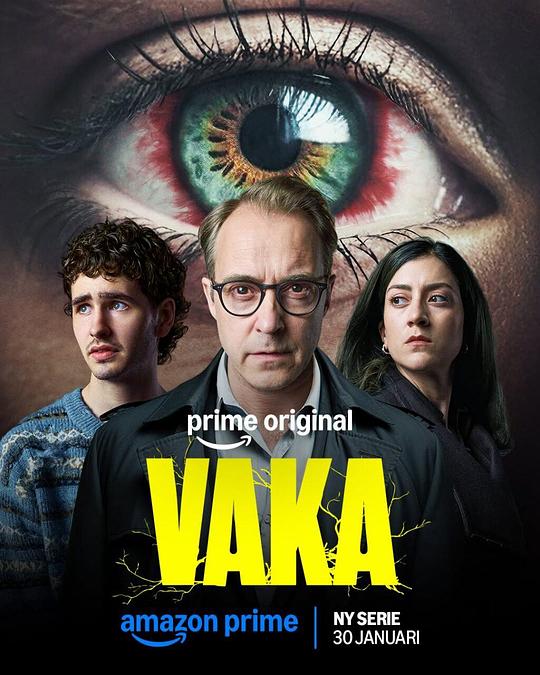 Vaka封面图