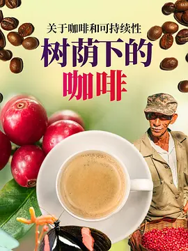 树荫下的咖啡封面图