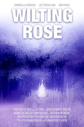 Wilting Rose封面图
