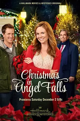 Christmas in Angel Falls封面图
