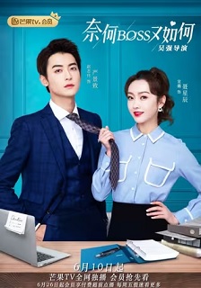 奈何BOSS又如何封面图