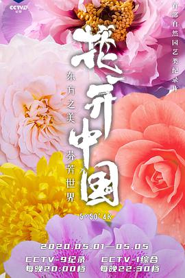花开中国封面图
