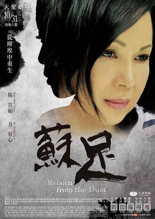 苏足封面图