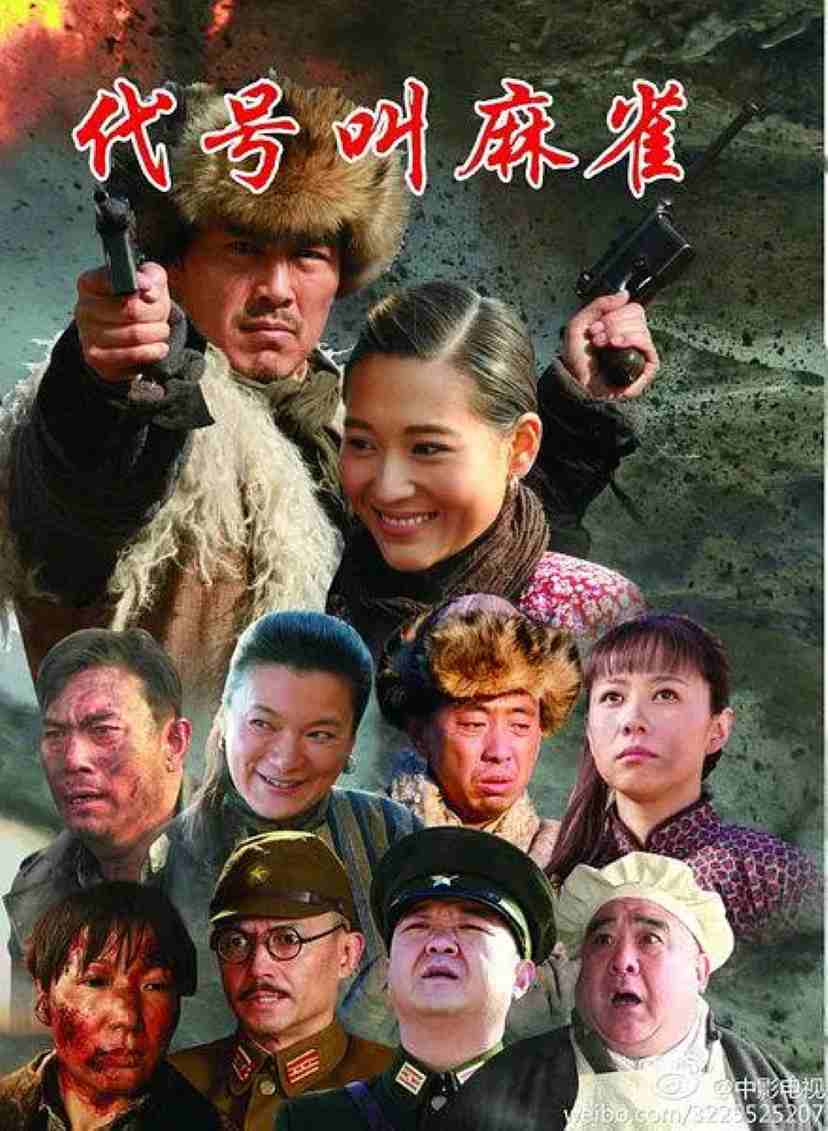 代号叫麻雀封面图