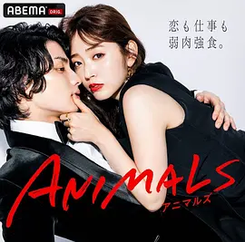 ANIMALS 归国篇封面图