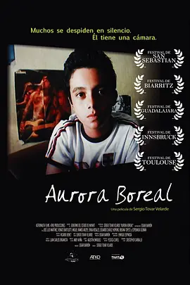 Aurora boreal封面图