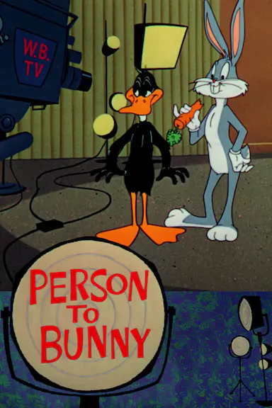 Person to Bunny封面图