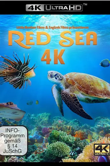红海（4K）封面图
