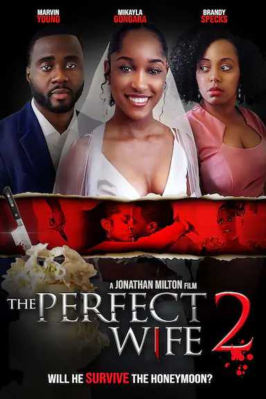 The Perfect Wife 2封面图