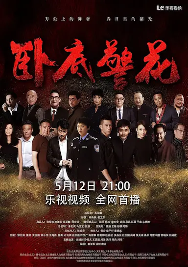 卧底警花封面图