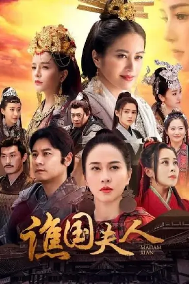 谯国夫人封面图