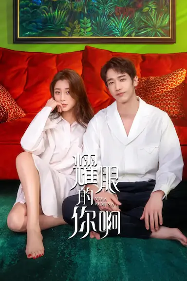 耀眼的你啊封面图