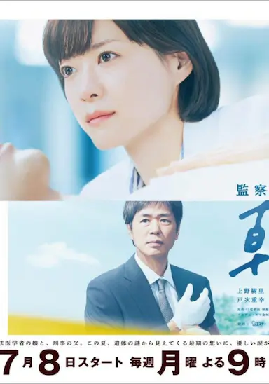 法医朝颜