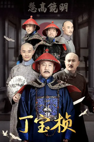 丁宝桢封面图