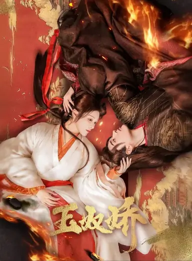 玉奴娇封面图