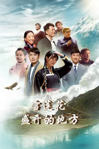 雪莲花盛开的地方封面图