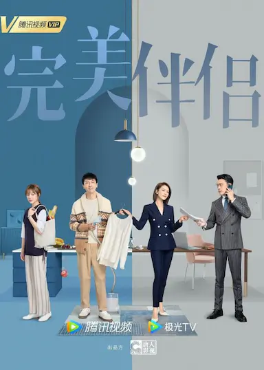 完美伴侣封面图