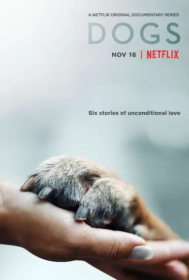 爱犬情深 第一季封面图