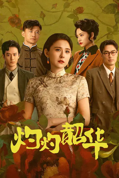 灼灼韶华封面图
