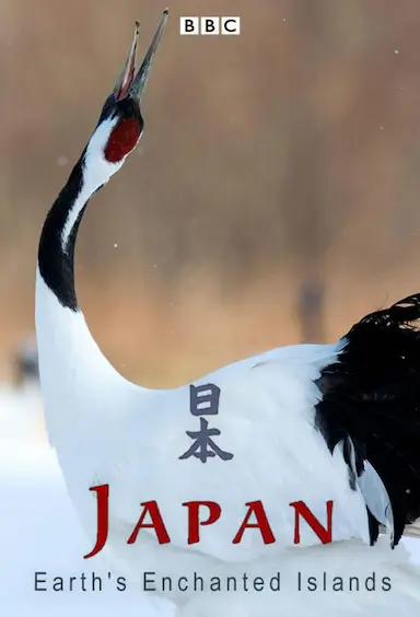 狂野日本封面图