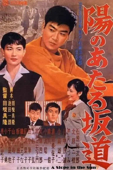 向阳的坡路