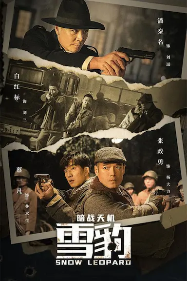 雪豹之暗战天机封面图
