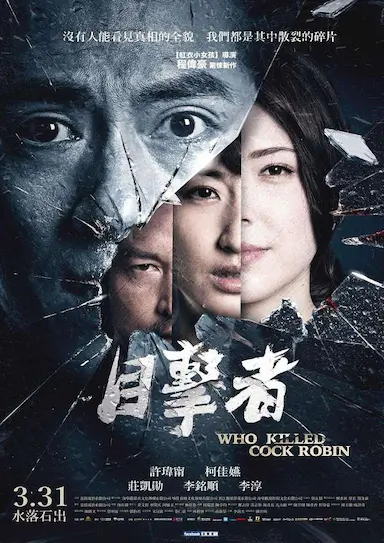 目击者之追凶封面图