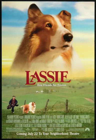 新灵犬莱西