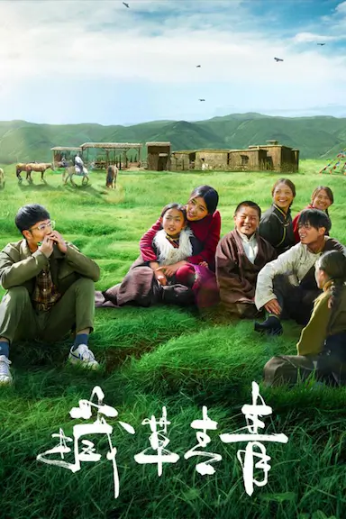 援藏日记封面图