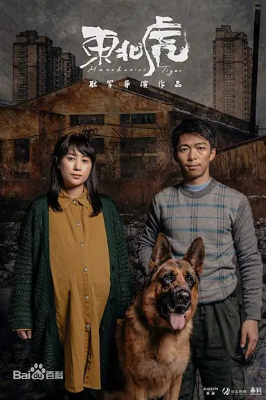 东北虎封面图