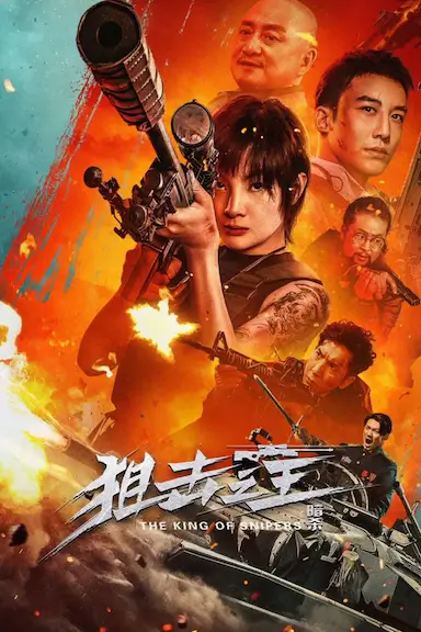 狙击之王：暗杀封面图