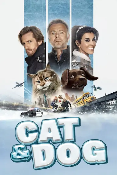 猫狗大乱斗
