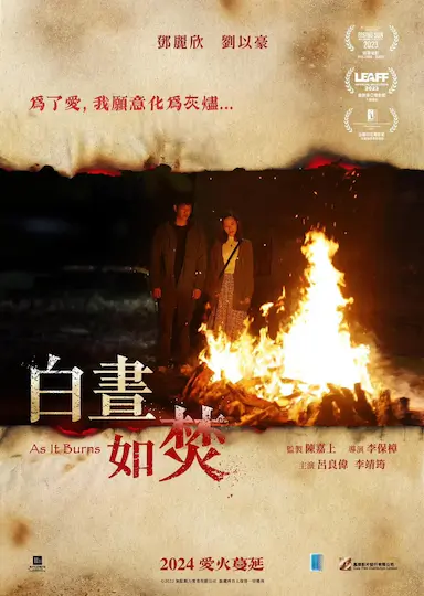 白昼如焚封面图