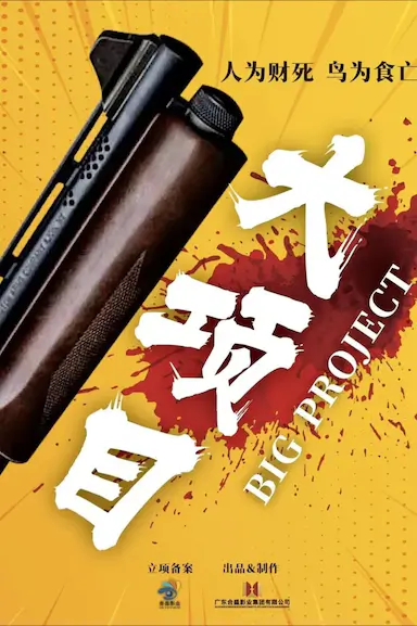 大项目封面图