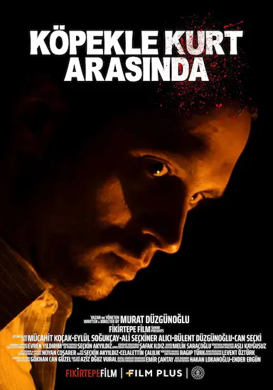 Köpekle kurt arasinda