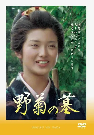 野菊之墓