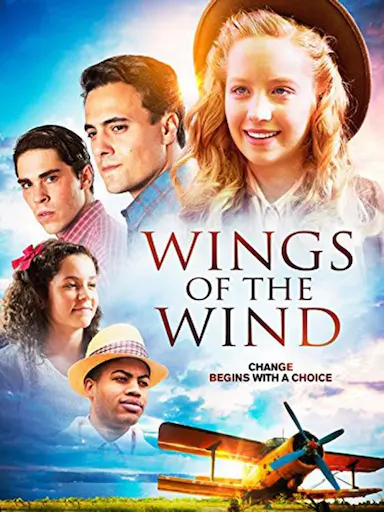 Wings of the Wind封面图