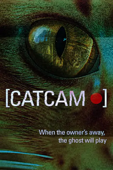 猫咪摄像头封面图