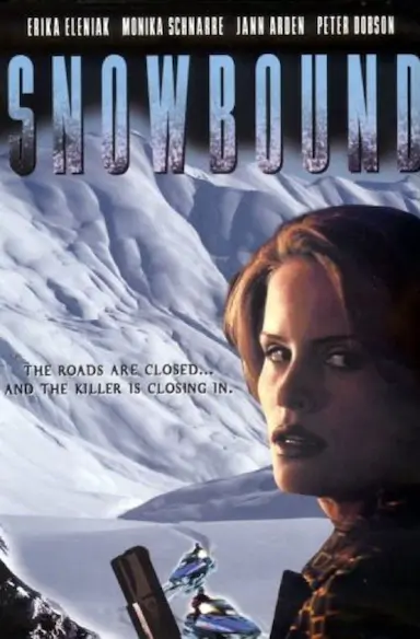 Snowbound封面图