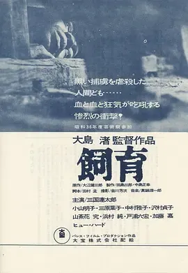 饲育