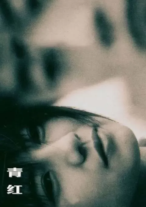 青红封面图