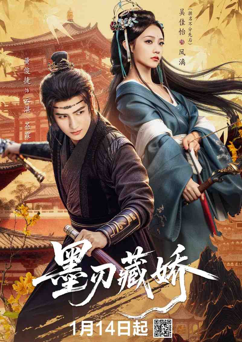 墨刃藏娇封面图