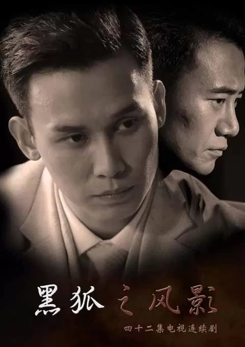黑狐之风影封面图